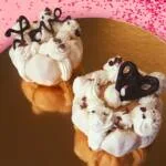 2 mini-vacherins vanille chocolat