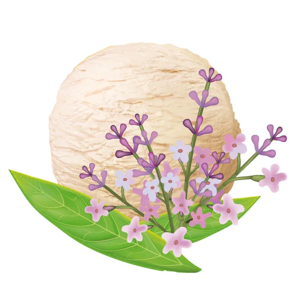 crème glacée à l’hydrolat de Verveine crème glacée Verveine