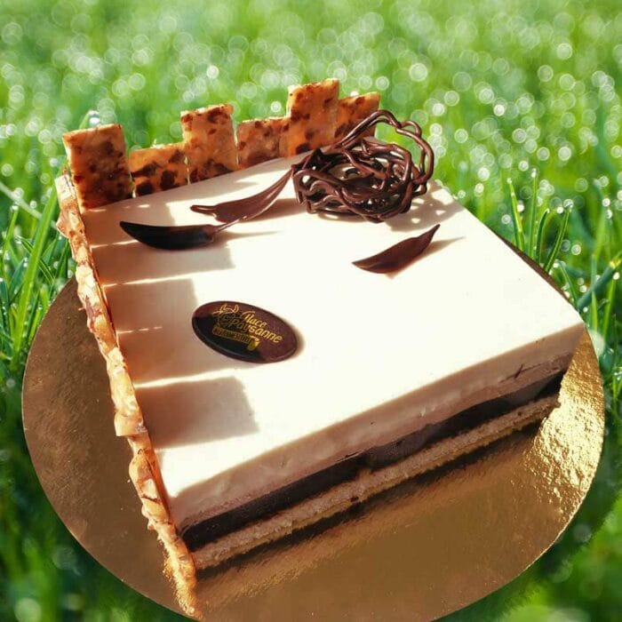 Photo d'un gâteau à la glace orné d'une bordure de morceaux de praliné noisette croquants et grillés, et de délicates boucles et éclats de chocolat